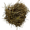 Gu Jing Cao New Dried Natural Pipewort Eriocaulon Buergerianum Inflorescence Globe Flowers for Herb