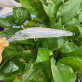 Unpainted Saltwater Leurre De Peche Pesca 140mm Sinking Ocean Trolling Artificial Baits Trolling Blanks Fishing Bait Minnow Lure