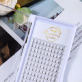 Flourishing Lashes Pre-Made XXL Mega Volume Trays Promade Fans Pointy Thin Base 6D 8D 10D Korean PBT Fibers Eyelash Extensions