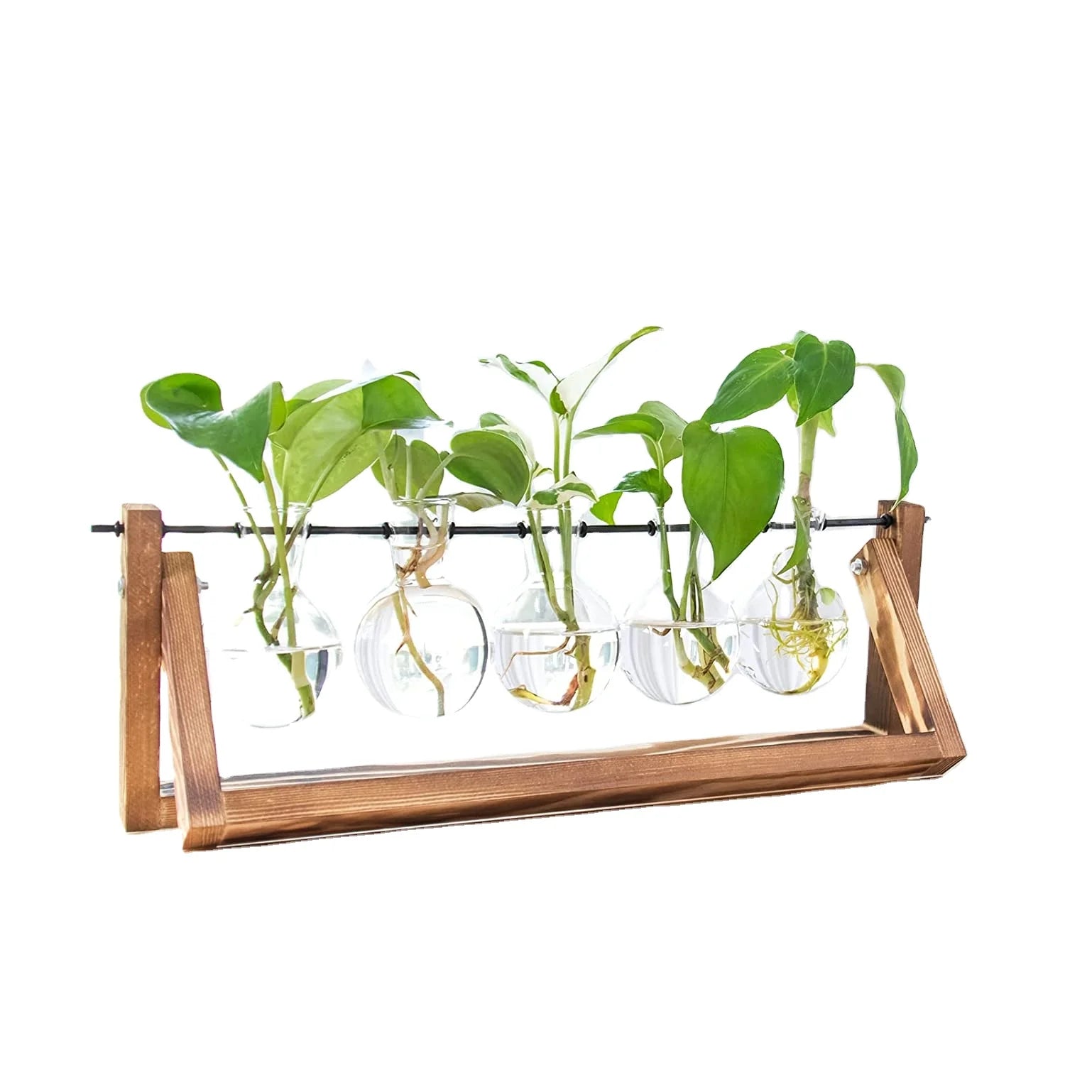 OEM Desktop Glass Bulb Plant Vase with Retro Solid Wooden Stand and Metal Swivel Holder for Home Garden Wedding Decor