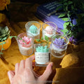 Artificial Succulents Desert Cactus Scented Candles Home Decorations Small and Cute