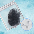 Loose Promade Fans No Bond Pointy Base Fans Eyelash Extensions Easy Fanning Volume Trays