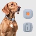 Pet Training Collar Clip with Remote Controller Rechargeable No Shock Vibration Dog Training Device
