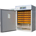 Egg Incub Incubators Hatching Eggs Automatic negg Incubator Chicken
