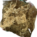 N10 Natural Delicious Products Dried Gracilaria Sea Moss for Food Sea Food