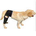 Wholesale Adjustable Neoprene Dog Leg Knee Brace Protective Soft Type for Spring Season