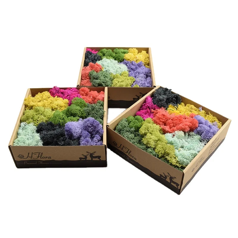 HFloral A-Grade Eco-Friendly Stabilized Reindeer Moss Panel for Hotel Office  Wedding Decor | Custom Color DIY Craft