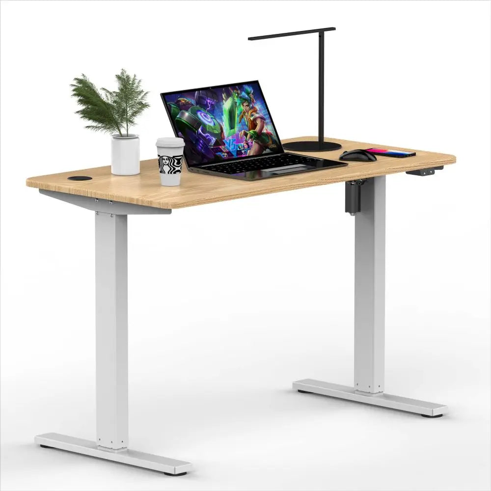 Electric Height Adjustable Table Office Furniture Single Motor Computer Gaming Desk Laptop Table Frame Ergonomic Standing Desk