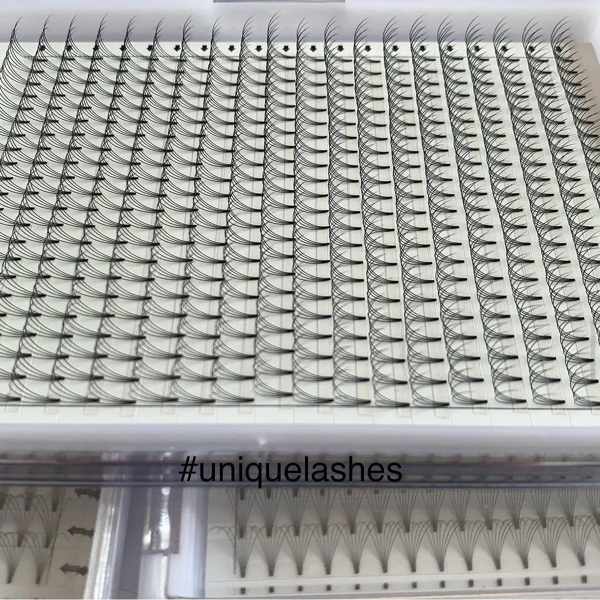 XL Big Tray Private Label Eyelash Extensions 0.10mm 0.07mm 2D 3D 4D 5D 6D Large Tray Premade Volume Fans Short Lashes