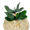 Real Touch Latex 5 Leaves Green Plant Leaf Artificial Orchid Leaves for Pots Decor