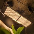 MEIJIU QB288 240W Lm301H Lm301B 660nm 240 Watt Board Far Red IR Full Meiju Samsung Led Grow Light for Indoor Growing
