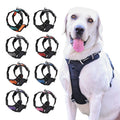 Water Resistant Durable Comfortable Breathable Mesh Tough Luxury Custom Dog Harness