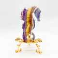 Healing Quartz Crystals Spiritual Stone Folk Crafts Fluorite Sea Horse  Natural Stone Carved Animal for Home Decoration