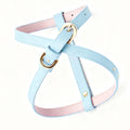 2025 Customized Pattern Pet Dog Harness Collar Leash Set Luxury Pretty Dog Harness Leash Collar for Medium Small Dog