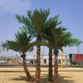 C091 Outdoor Palm Tree Artificial Coconut Palm Tree Large Artificial Fiberglass Palm Tree King for Indoor Decoration