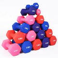 Basics Hexagonal Iron Durable Vinyl Coated Hand Weight Dumbbell Pair