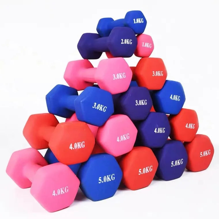 Basics Hexagonal Iron Durable Vinyl Coated Hand Weight Dumbbell Pair