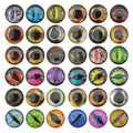2196pcs 3D Bionic Fish Eyes Fly Tying Material Lure Eyes 3mm 4mm 5mm 6mm 7mm 8mm 9mm 10mm