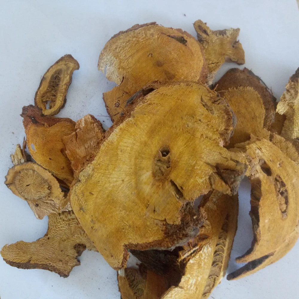 Huzhang Chinese Raw Herbs Buy RHIZOMA POLYGONI CUSPIDATI Giant Knotweed for Sale