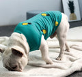 Summer Pet Clothes for English Bulldog Sweet Design Summer Dog Shirt with Printed Pattern