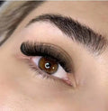 Own Brand Volume 6D Premade Lashes Pre Made Sharp Base Premade Fans Eyelash Extension