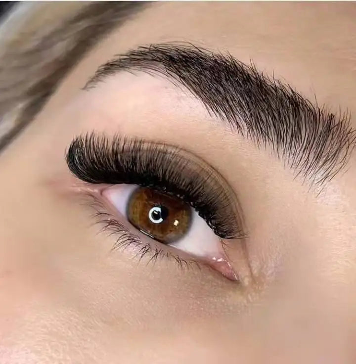 Own Brand Volume 6D Premade Lashes Pre Made Sharp Base Premade Fans Eyelash Extension