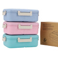 Eco-Friendly Wheat Straw Lunch Box & Flatware Set Disposable PP Material Cartoon Design for Home or School Use
