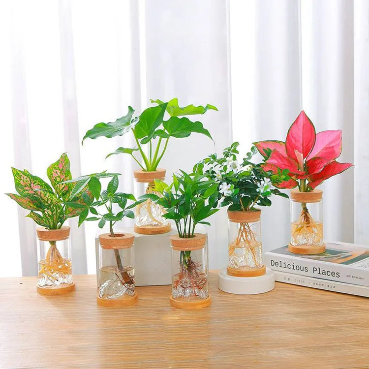 Microlandscape Handmade Clear Hydroponic High Borosilicate Glass Cylinder Vase Terrarium Cork Lid Mountain Wedding Decorations