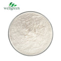 Wellgreen Free Sample L Tryptophan Powder Amino Acid Supplements Use Food Feed Grade L-Tryptophan