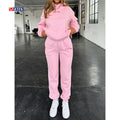 Wholesale Knitwear Suit Custom Puff Print Hoodie and Sweatpants Set Streetwear Hooded Tracksuit Flannel Y2k Women Set With Hood