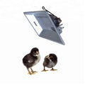 Animal Poultry Husbandry Equipment Chicken Farming Infrared Gas Heater for Poultry Farm THD2606