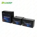 Rechargeable Lithium Battery 12.8V 12Ah 153.6Wh LiFePO4 with 20A BMS 6000 Cycles 0-50C Operating Temp