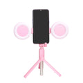 Factory Price Tripod with Ring Light for Live Streaming Fill Light Stand Stick Dimmable LED Ring Lamp Selfie Video Ringlight