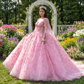 Pink Lace Sweetheart Backless Quinceanera Dress Floor Length Birthday Party Ball Gown Dress Dy6773