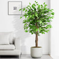 Cross-Border Indoor Mall & Hotel Window Ornament Disassembled Artificial Ficus Tree Plastic Potted Plant for Window Decoration MegaBDM