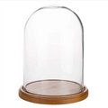 Custom Decorative Clear Glass Cloche Dome Bell Jar Display Case with Wooden Base Carton Packaging