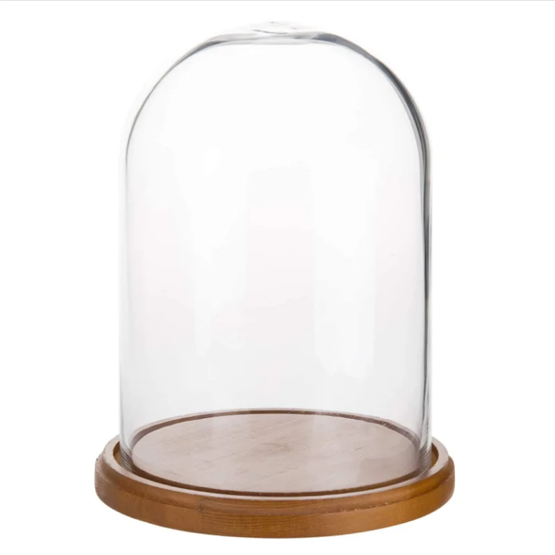 Custom Decorative Clear Glass Cloche Dome Bell Jar Display Case with Wooden Base Carton Packaging