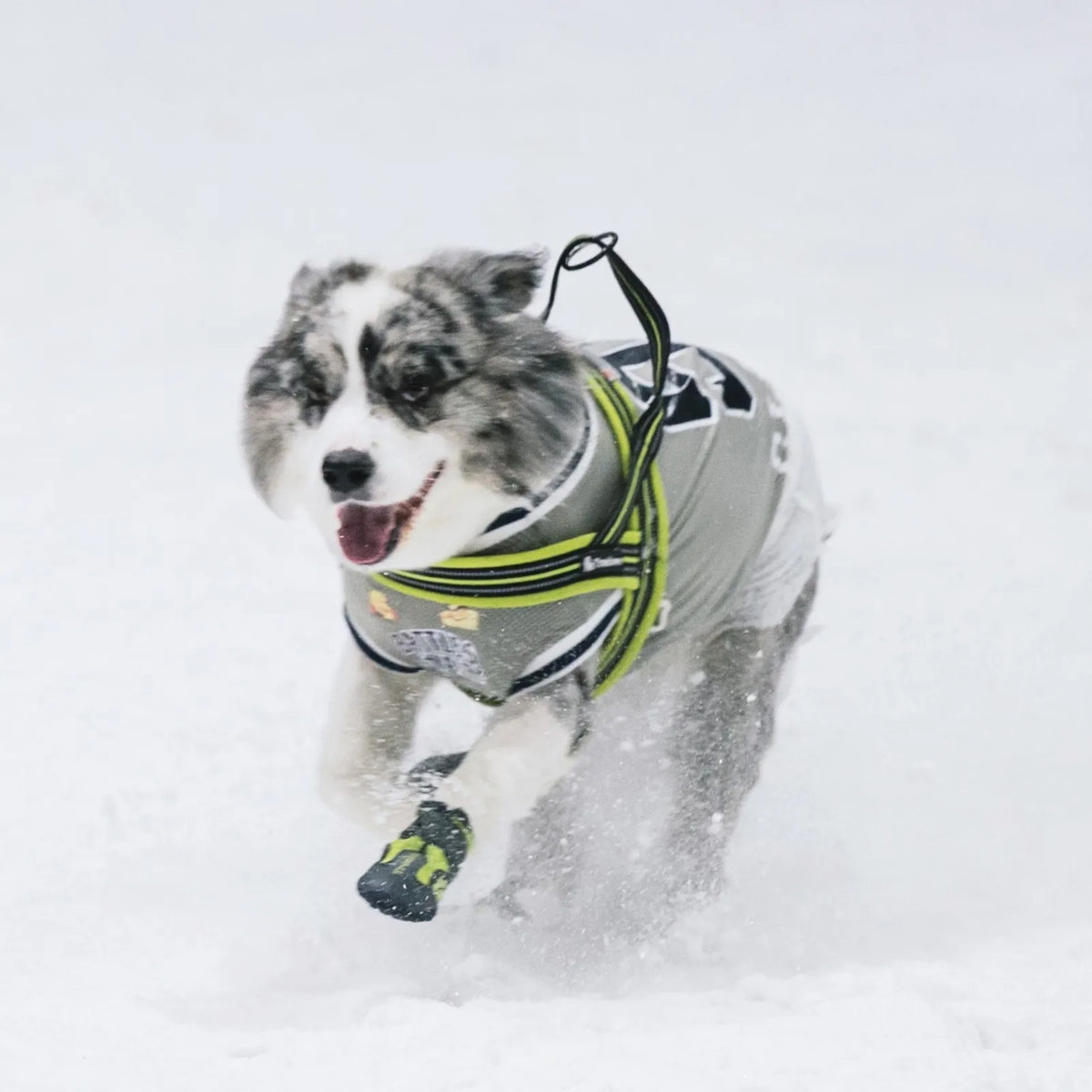 Truelove Soft Comfortable Dog Harness Adjustable Pet Dog Harness for Dog Reflective Adjustable Breathable Pet Harness Vest