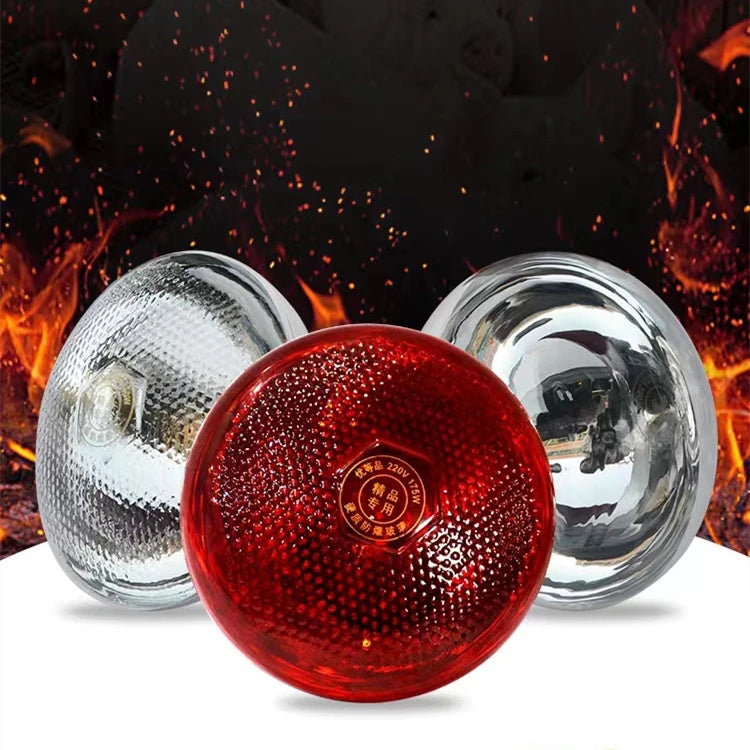 New Condition Sun Brooding Chicken Heating Lamp With 220v Insulation for Pet Turtle Basking