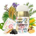Original Factory Coconut Oil Dry Shampoo Custom Volumizing Fluffy Hair Polvos De Textura Oil Control Dry Shampoo Powder