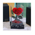 AYOYO OEM Rose Christmas Gift Eternal Flower Glass Cover Rose
