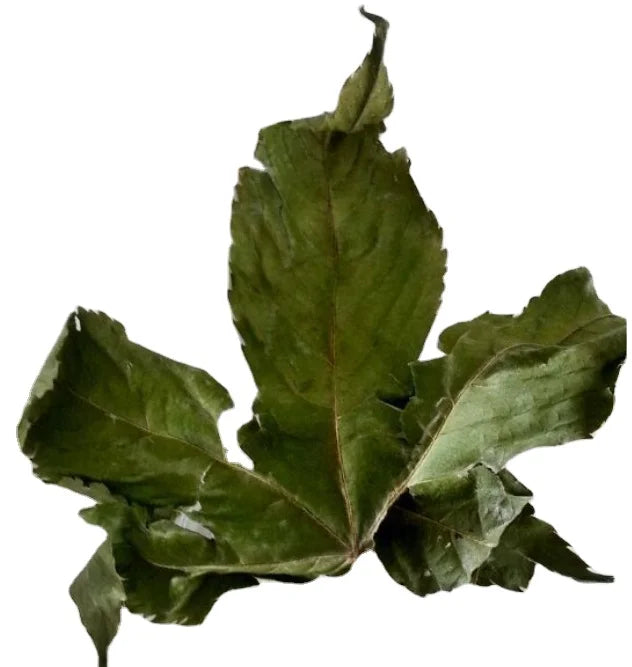 Tiancha Sweet Tea China Rubus Chingii Var Suavissimus Dried Pure Leaf Tea for Sale