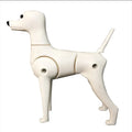 Eco-Friendly Pet Groomers Simulation Teddy Poodle Dog Body Model for Grooming Practice and Training