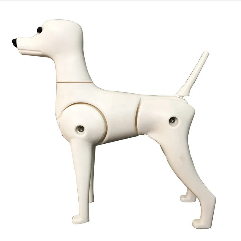 Eco-Friendly Pet Groomers Simulation Teddy Poodle Dog Body Model for Grooming Practice and Training