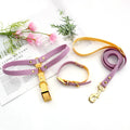 PVC Color Blocking Plastic Waterproof Metal Insert Buckle Wholesale Custom logo Pet Dog and Cat Outdoor Sports Harness Set