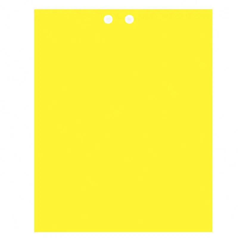 Double Sided Sticky Fly Traps Kill Fruit Flies+ Killer Factory Supply Discount Price Yellow Insect for Insect Control Use