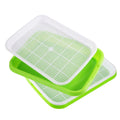 Double Layer Sprouting Tray Pea Mung Bean Peanut Wheat Cat Grass Hydroponic Seedling Sprout Plate