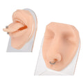 Gaby Soft Silicone Display Model with clear Display Stand Faux Real Ear Artificial Piercing Display Tool for Piercing Jewelry