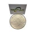 Factory Supply Royal Jelly Powder Capsule Natural Royal Jelly Powder Lyophilized Royal Jelly Powder