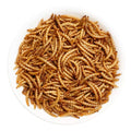 Wholesale Custom-packaged Dried Mealworm Larvae